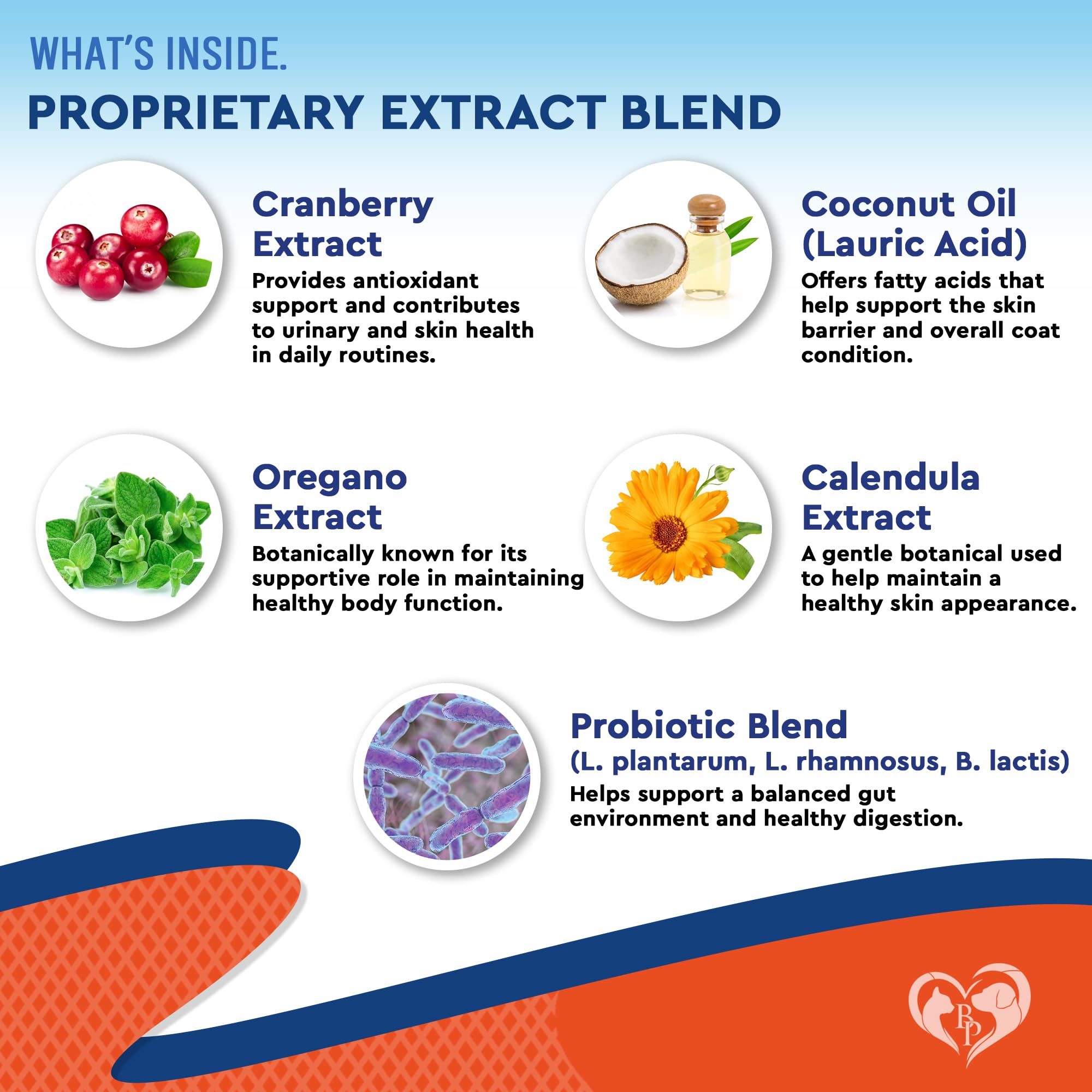 Beloved Pets yeast-infection-relief packaging shows two 60 ml bottles for ongoing care.