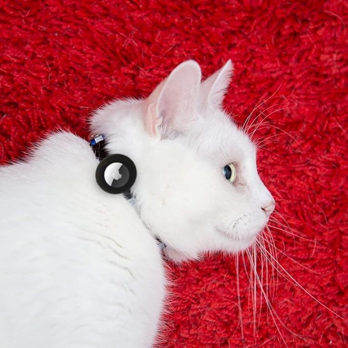 Bemix Pets airtag holder on collar showcases secure tracking accessory