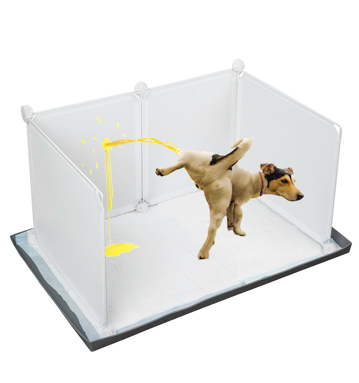 Bencacawinstyle dog litter box with high walls showing protected potty area for clean training