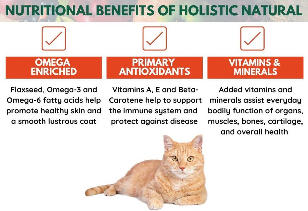 Bench & Field Holistic antioxidants vitamins A E and beta-carotene in the recipe