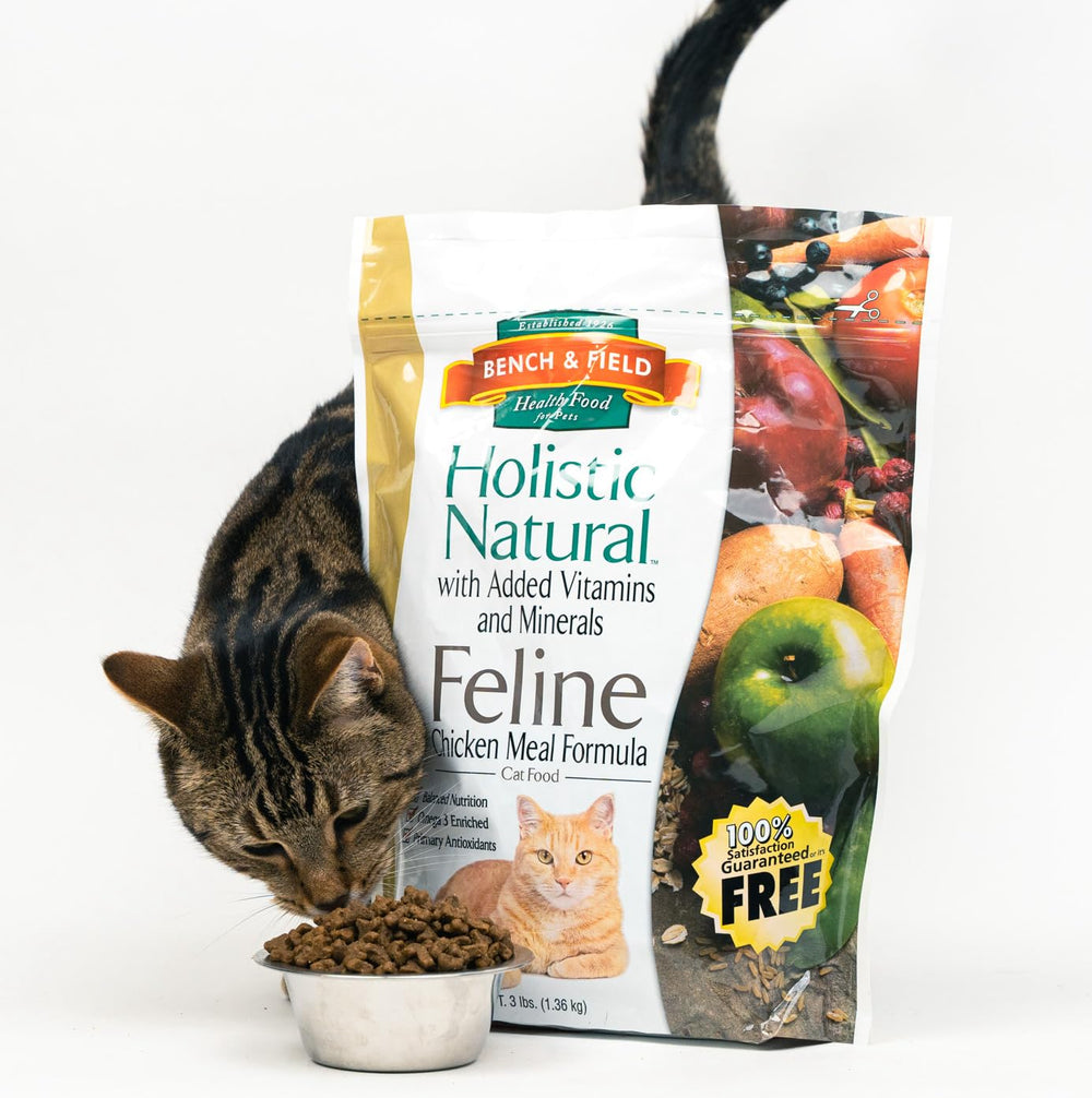 Bench & Field Holistic greens and grains with oats flaxseed quinoa close-up
