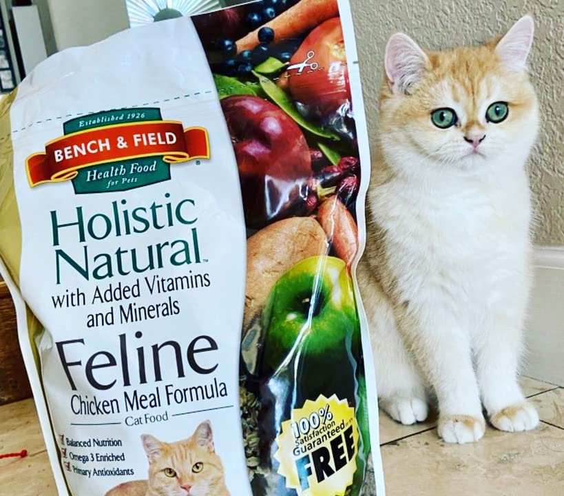 Bench & Field Holistic omega-rich oil and fats image for healthy coat.