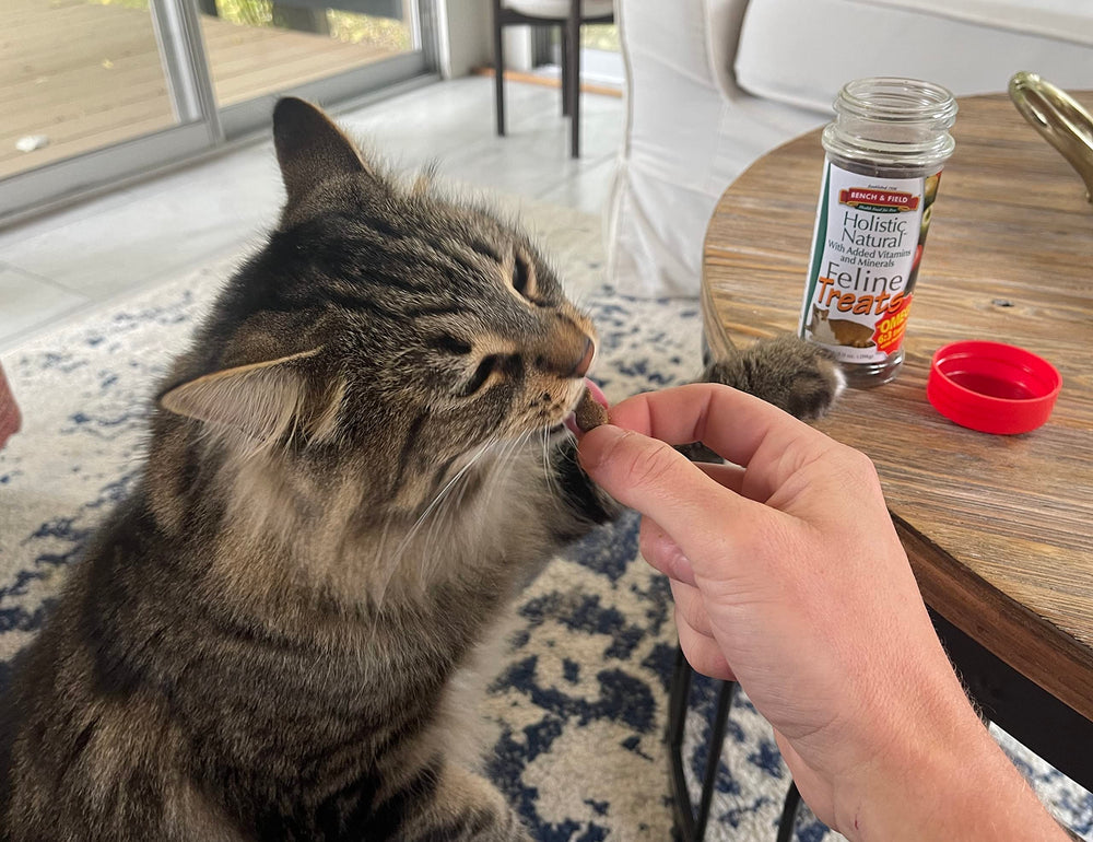 Bench & Field holistic kitty treats omega-enriched ingredients with flaxseed for skin and coat support.