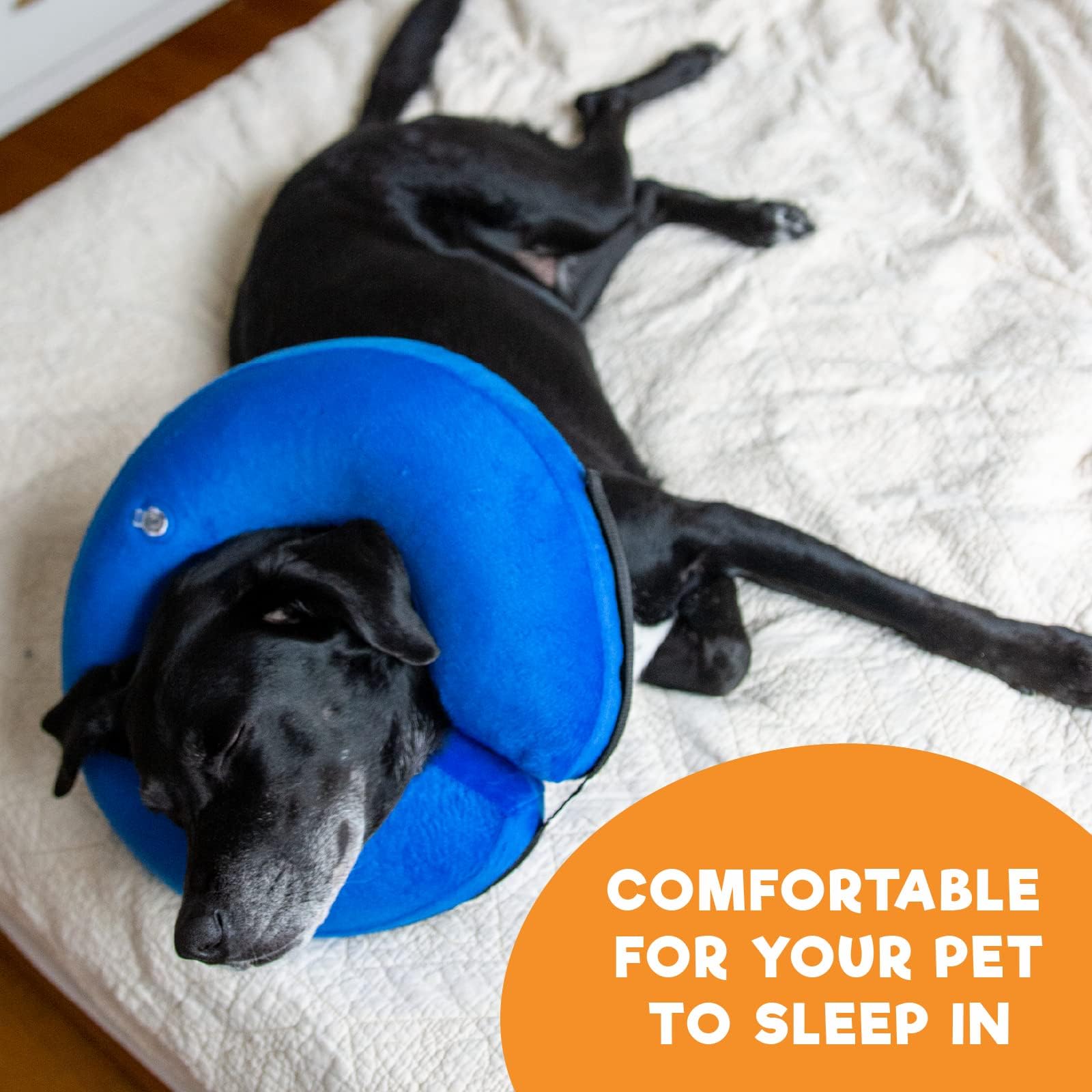 BENCMATE donut collar recovery scenario illustrates injury protection during healing.
