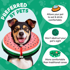 BENCMATE inflatable dog cone Watermelom inflated closeup of soft fabric.