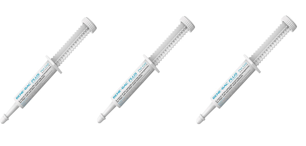 Bene-Bac Pet Gel bottle showing the 7-strain probiotic formula for gentle gut balance.