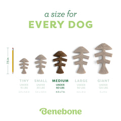 Benebone aggressive-chewer-durable-chew highlighting toughness for tough chewers