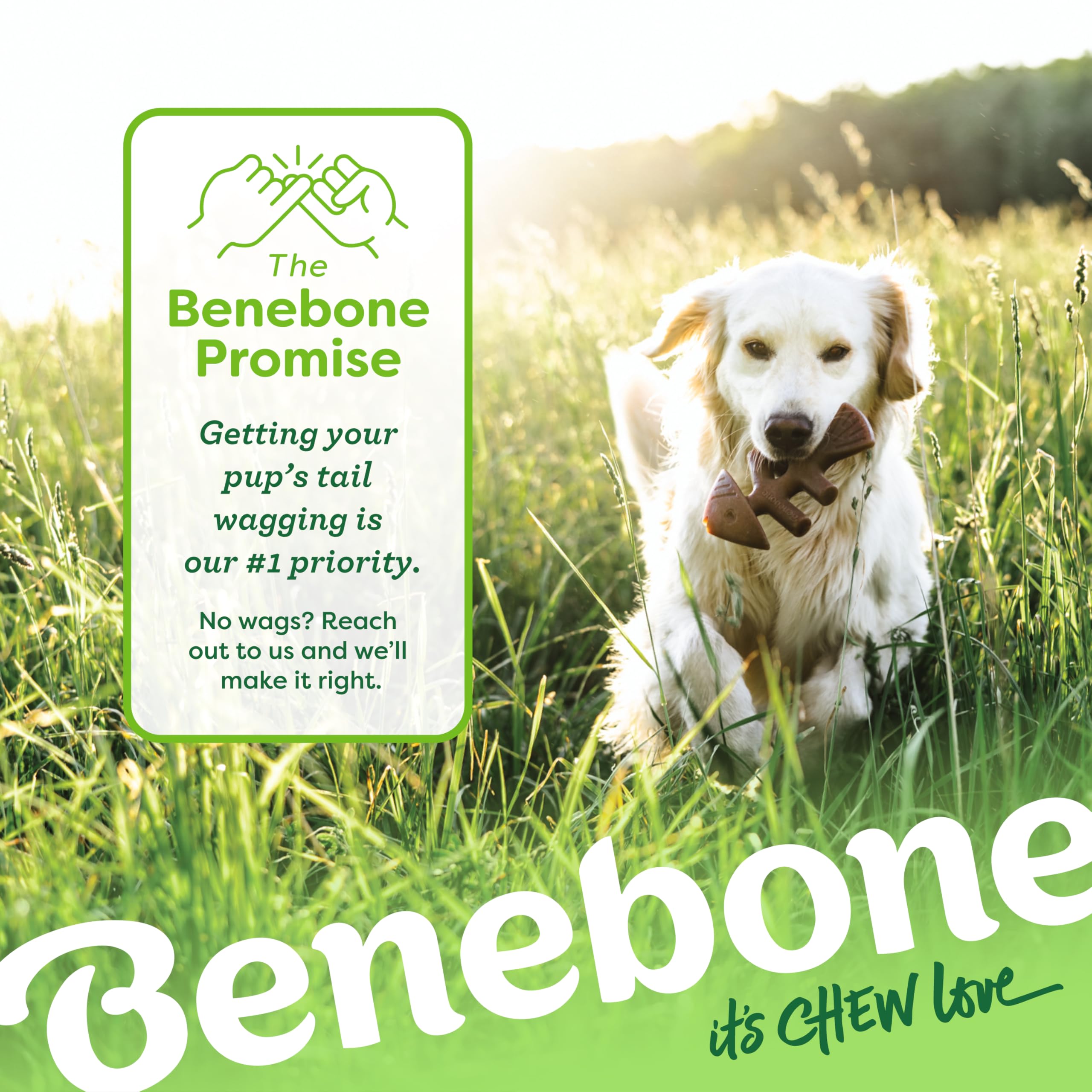 Benebone Happiness-guaranteed support image illustrating customer care