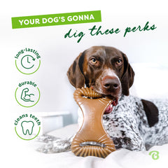 Benebone USA-made dog chew ensuring tough American craftsmanship.