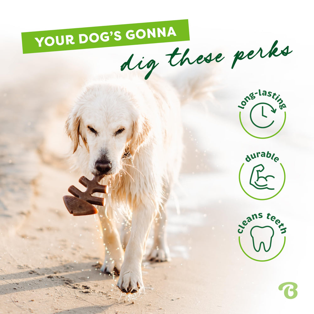 Benebone Made-in-USA dog chew with sturdy construction and US manufacturing