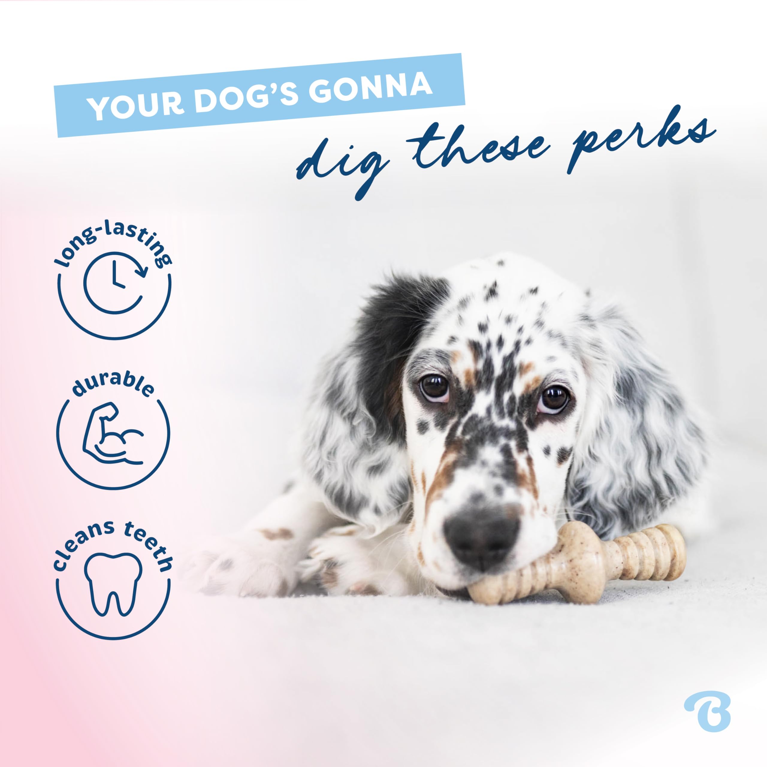 Benebone Maplestick real maplewood flavor for curious pups