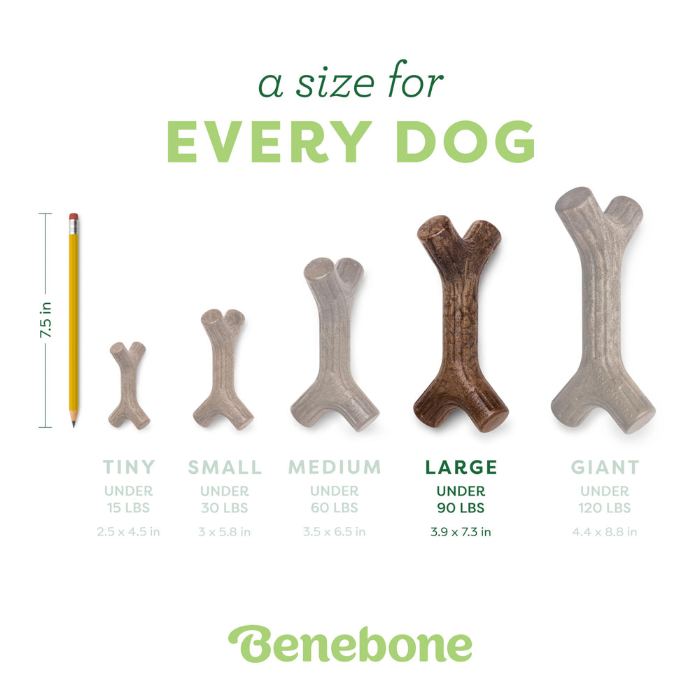 Benebone Maplestick tough chew designed for powerful chewers during play