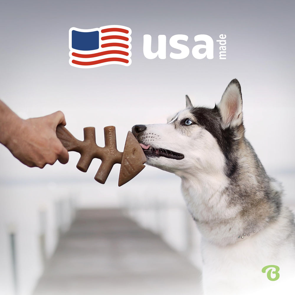 Benebone Medium-size Fishbone for mid-sized dogs during chew time