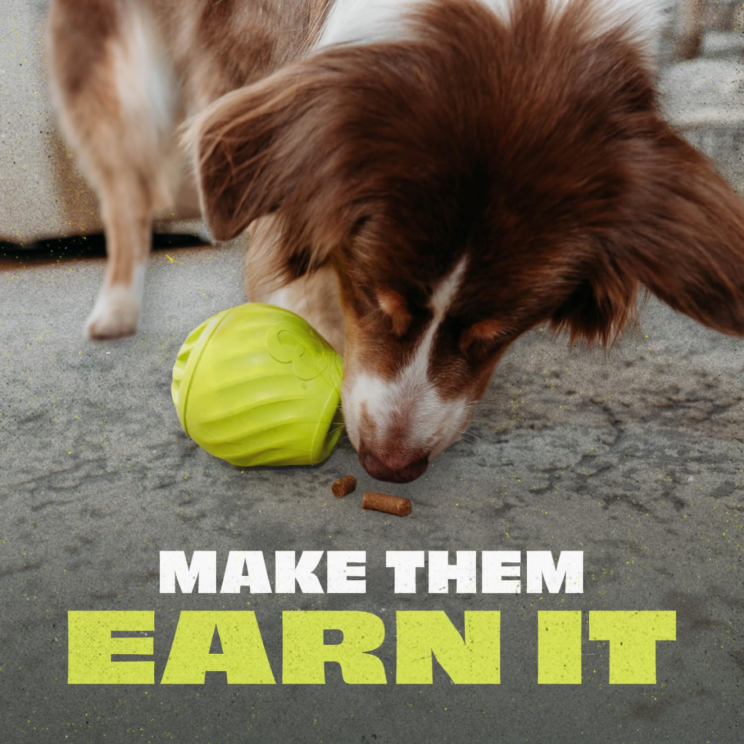 Benebone Pawbler rolling action encourages medium to large dogs to stay active.