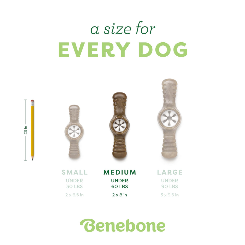 Benebone Pawplexer durable-chew withstands strong chewers for weeks