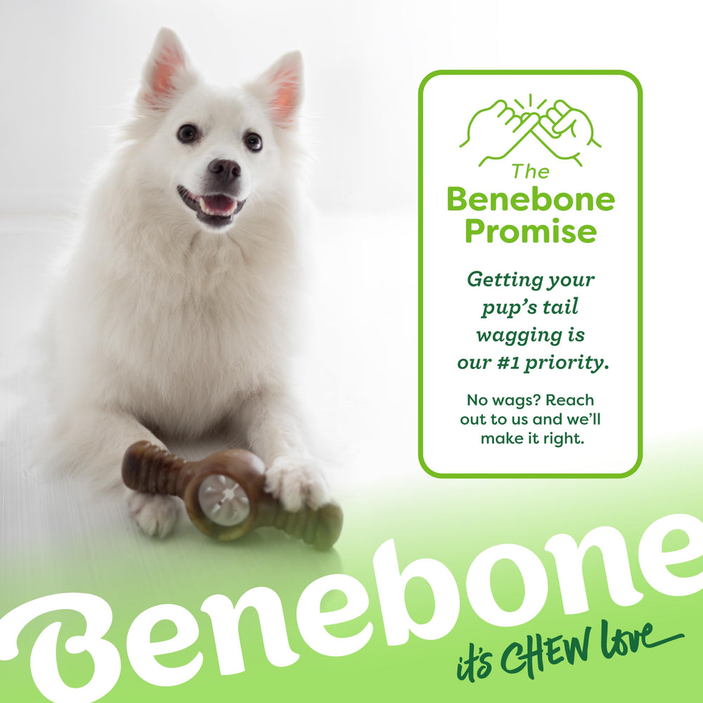 Benebone Pawplexer keeping-stinky-bully-sticks-off-carpet demonstrates mess-reduction benefits.