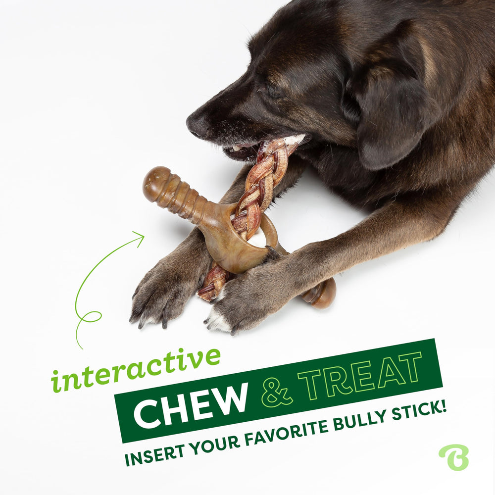 Benebone Pawplexer interactive-puzzle promotes mental stimulation during playtime.