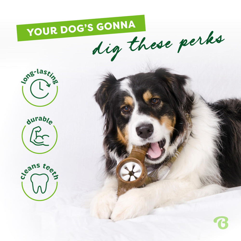 Benebone Pawplexer real-bacon-flavor enhances flavor appeal during treats.