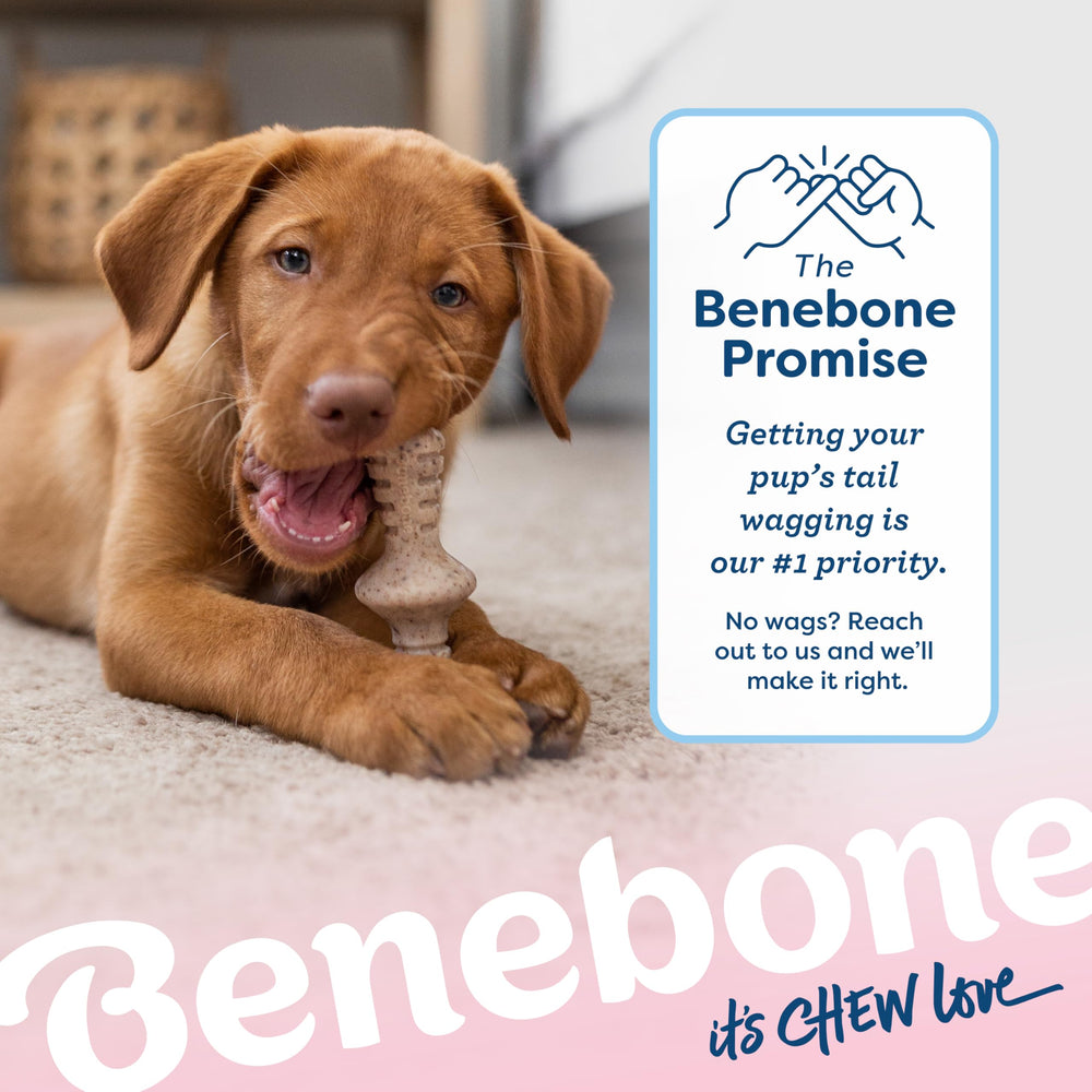 Benebone Puppy chew set packaging shot showing two options