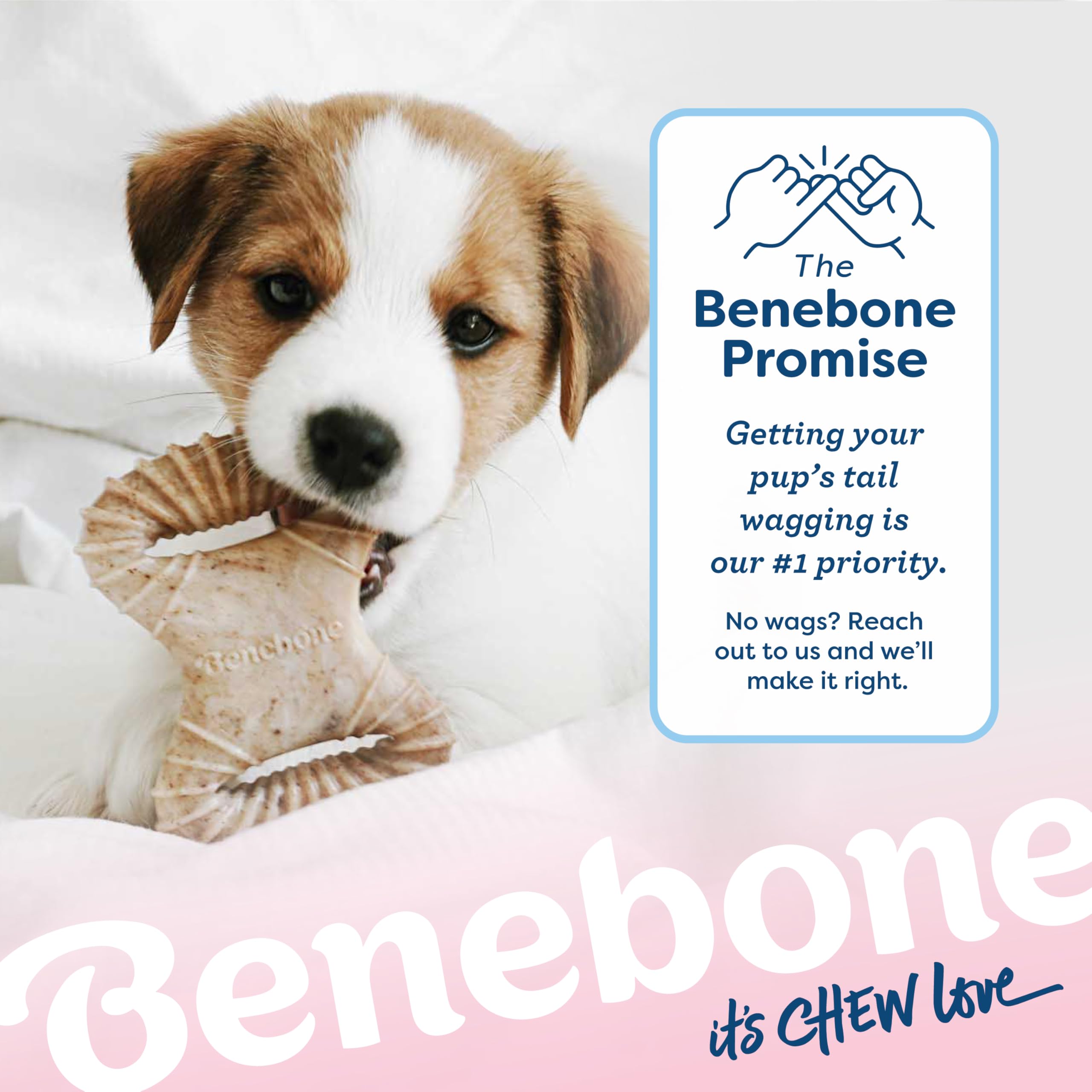 Benebone Puppy dental chew wishbone interactive play shot demonstrates activity and engagement.