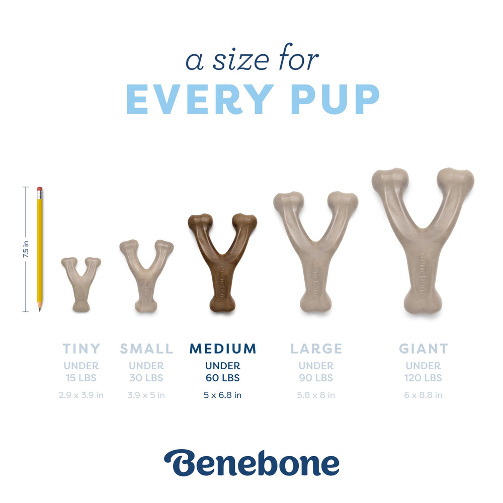Benebone Puppy Wishbone made in the USA with domestic materials for quality