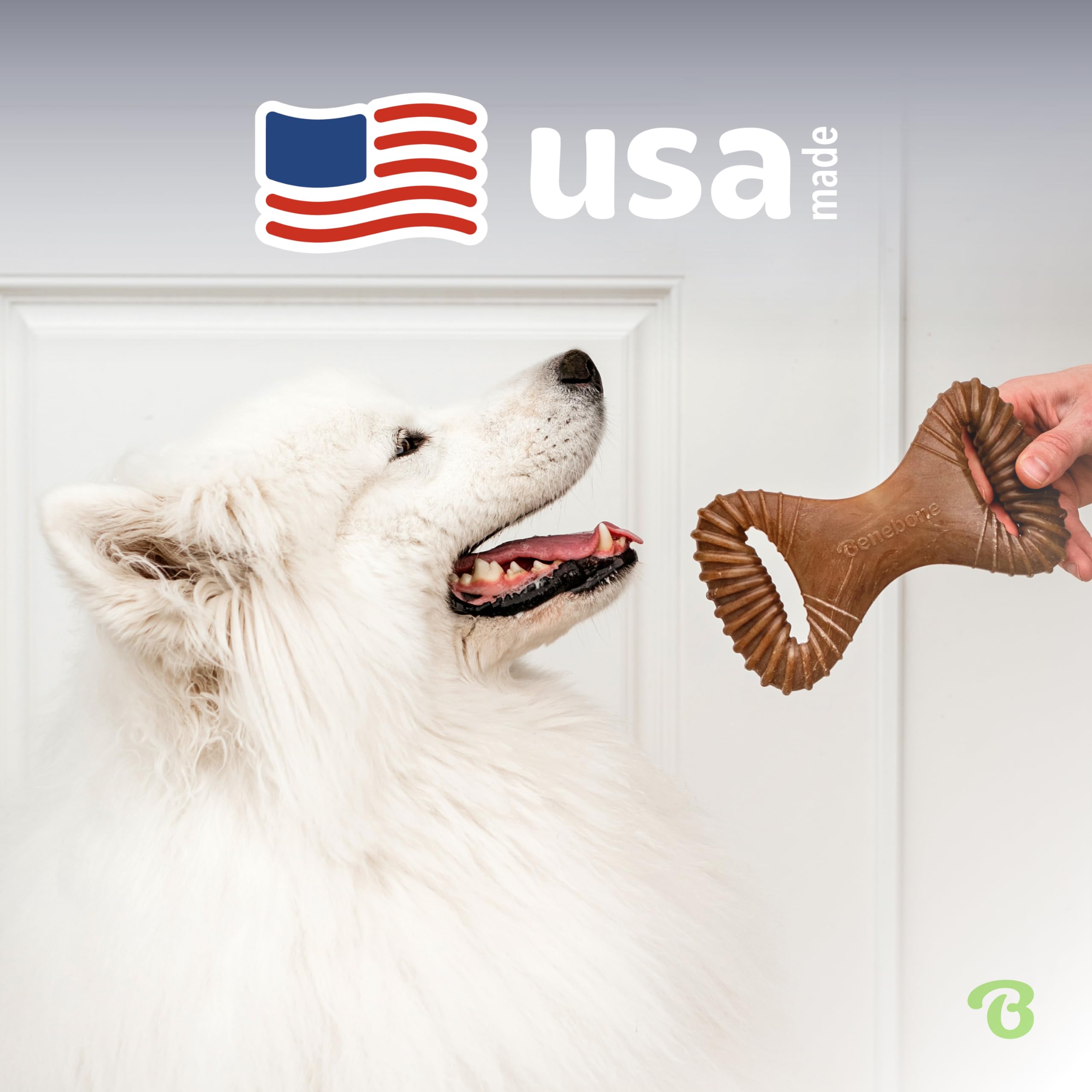 Benebone small-size chew in use for small to medium dogs.