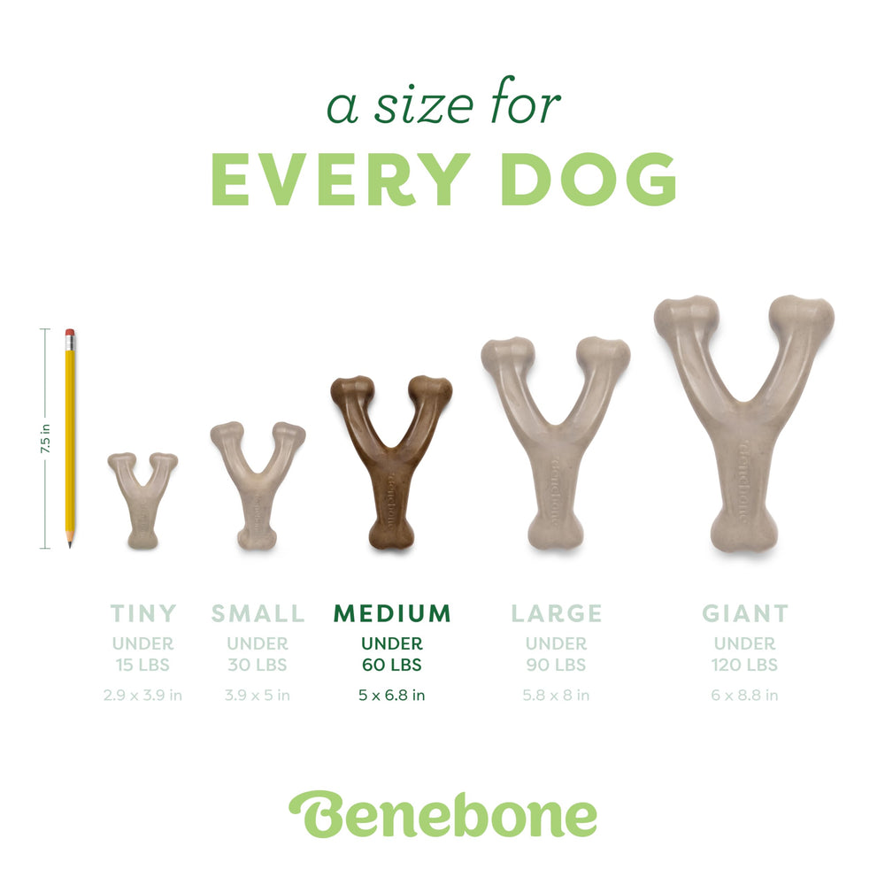 Benebone Wishbone made in USA ensuring safety and quality