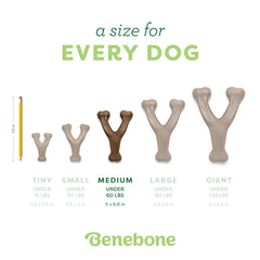 Benebone Wishbone made in USA ensuring safety and quality