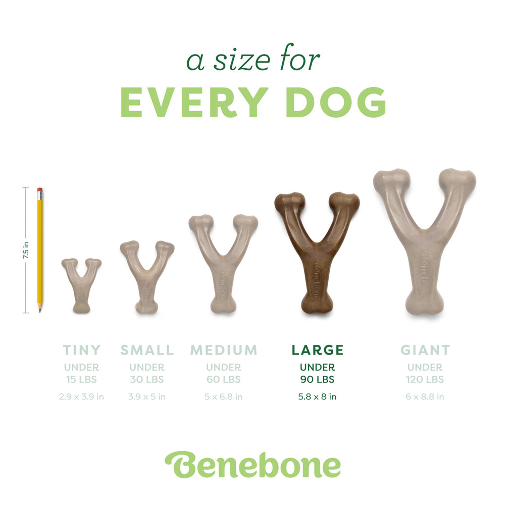 Benebone Wishbone made-in-USA tag indicates quality manufacturing.