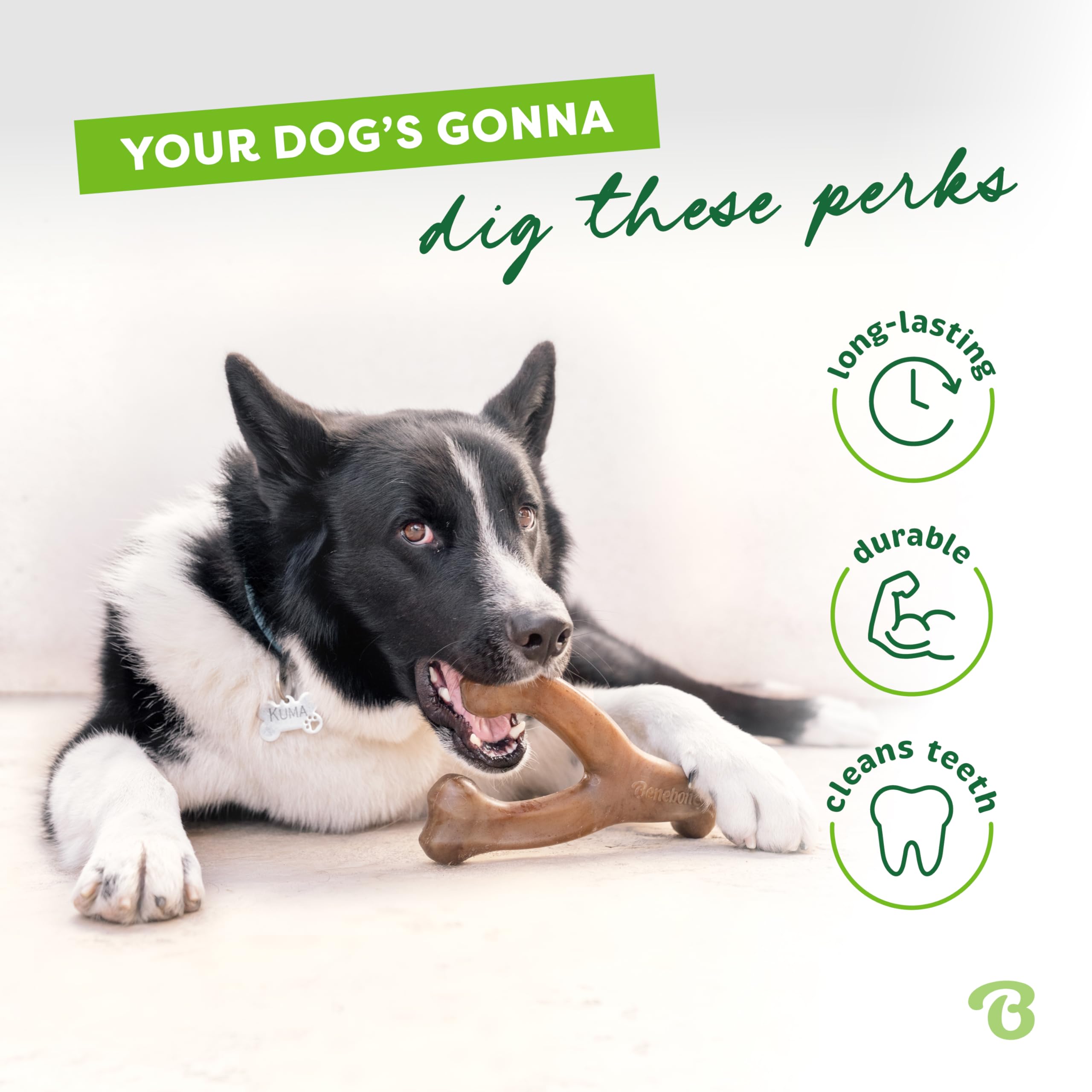 Benebone Wishbone paw-friendly curved grip for easy pickup