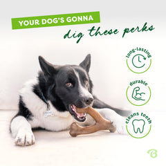 Benebone Wishbone paw friendly grip helps dogs grab and chew with ease
