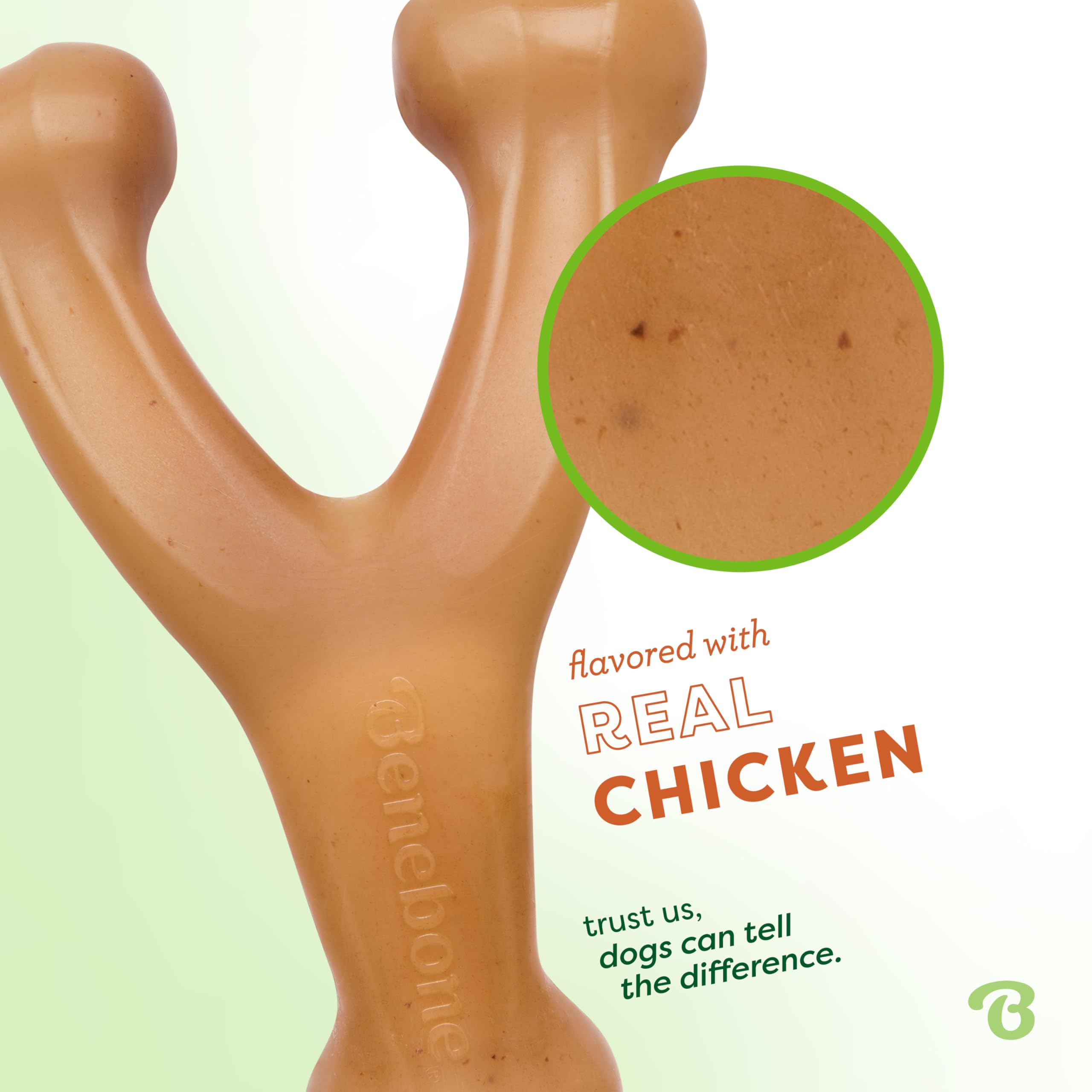 Benebone Wishbone with real chicken flavor to engage chewing