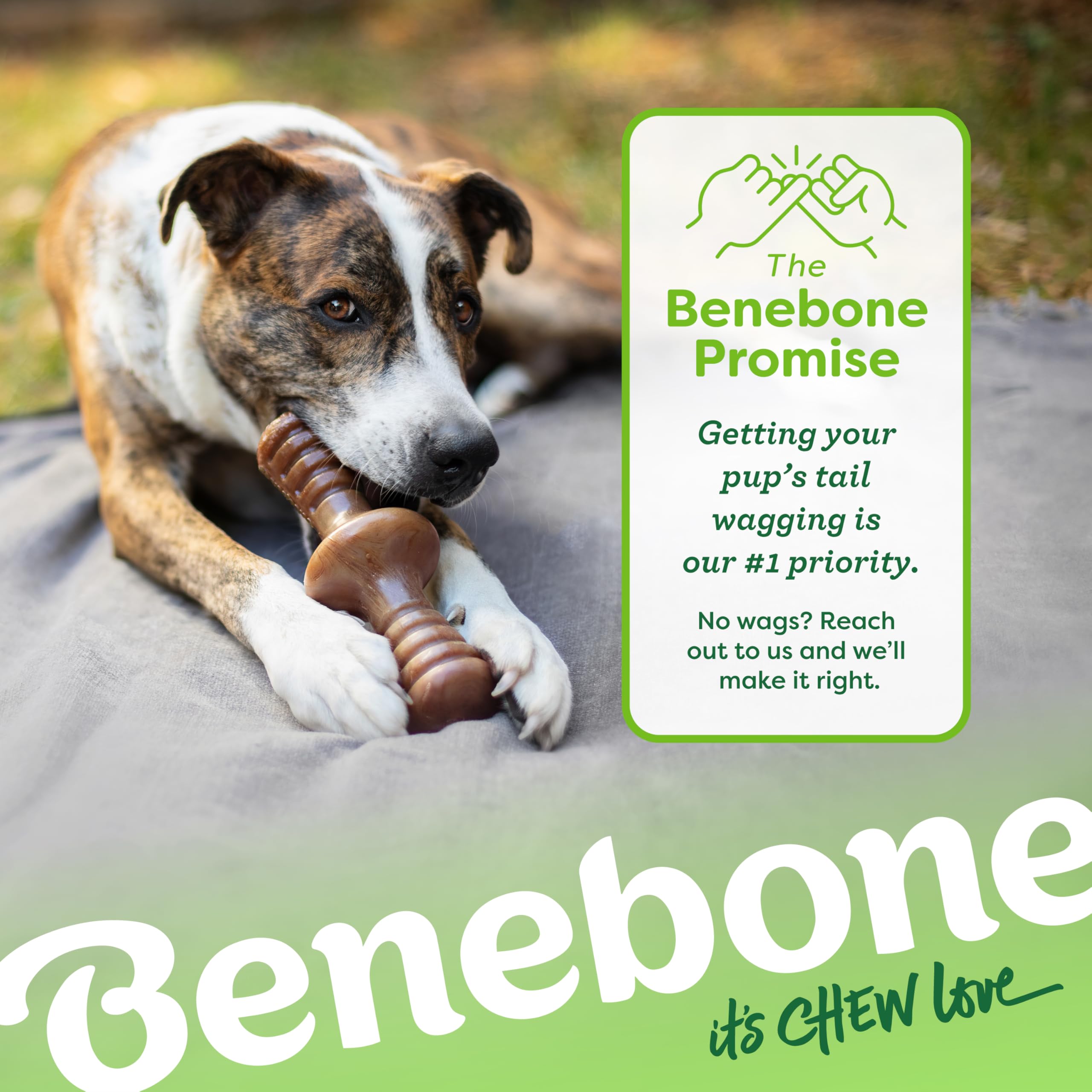 Benebone Zaggler wear-tear check prompts replacement when needed