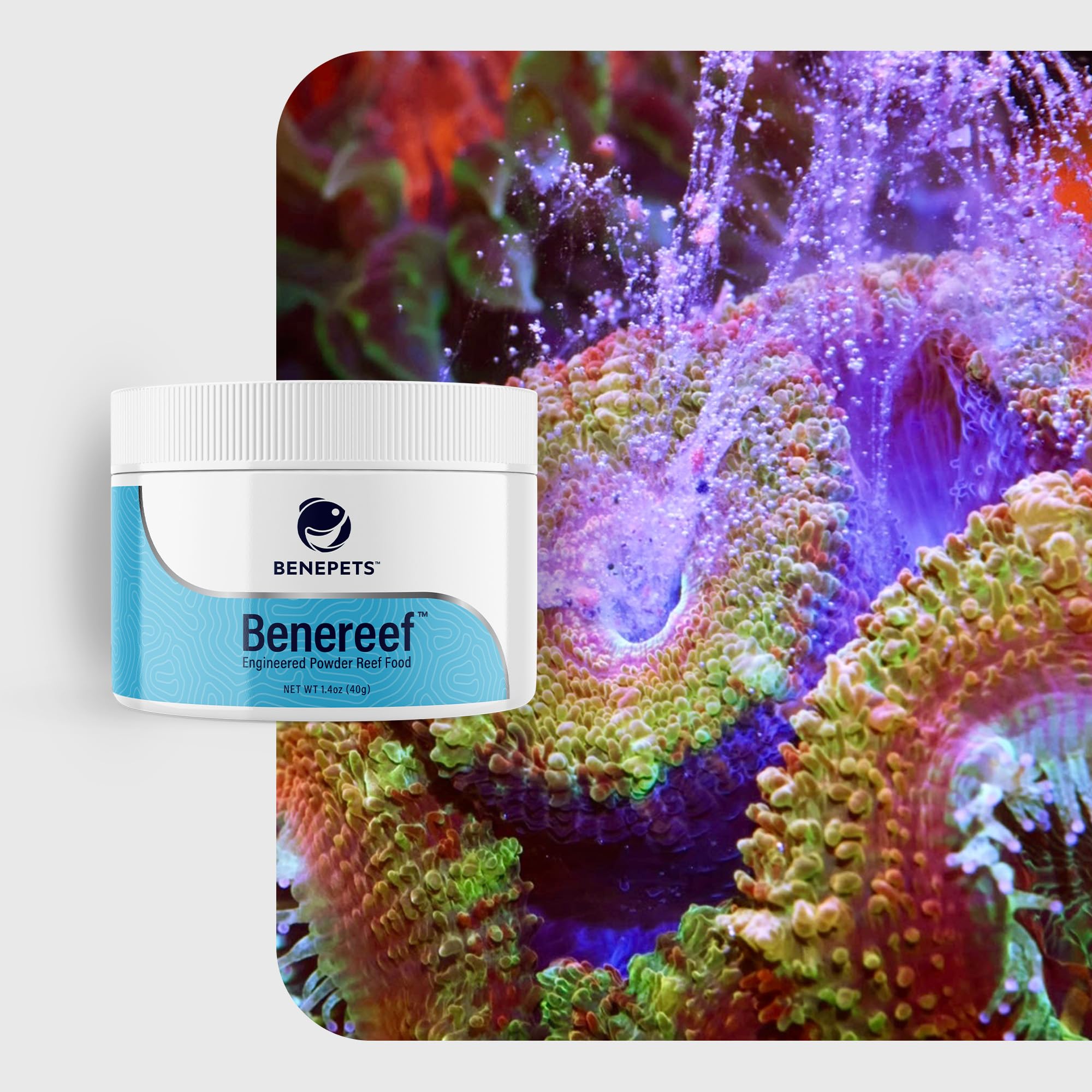 Benepets BeneReef powder nutrient-absorption concept shows improved uptake for corals and fish