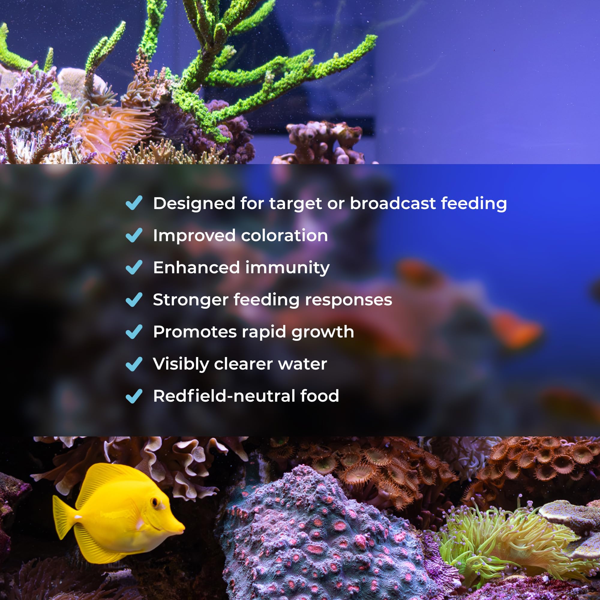 Benepets BeneReef powder particle-size visuals illustrate 3-3000 micron range for reef inhabitants