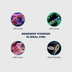 Benepets BeneReef powder probiotic formula communicates live bacteria support for tank health