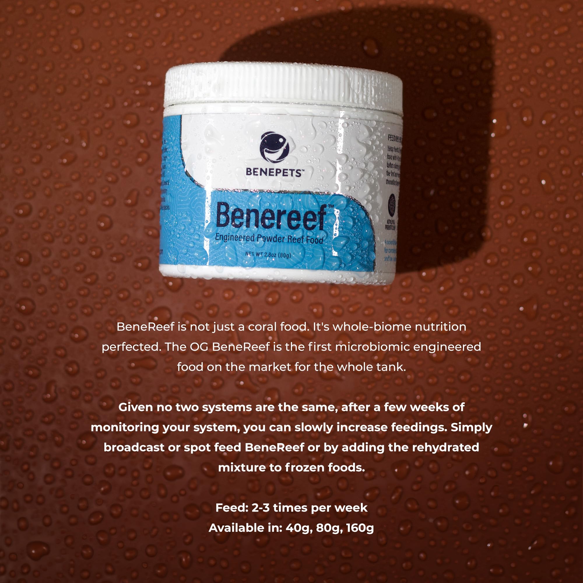 Benepets BeneReef powder being sprinkled into tank for easy feeding.