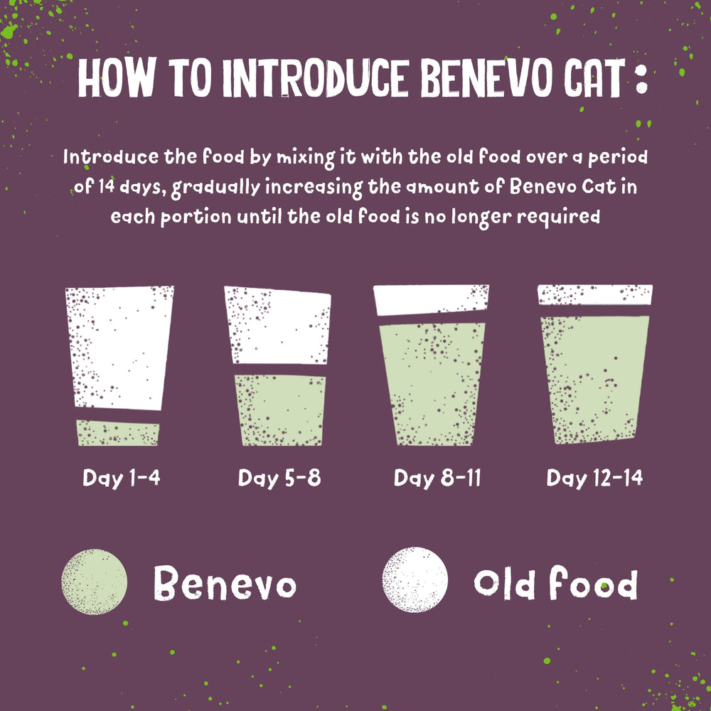 Benevo vegan cat food ingredients label lists vitamins taurine and omega fatty acids.