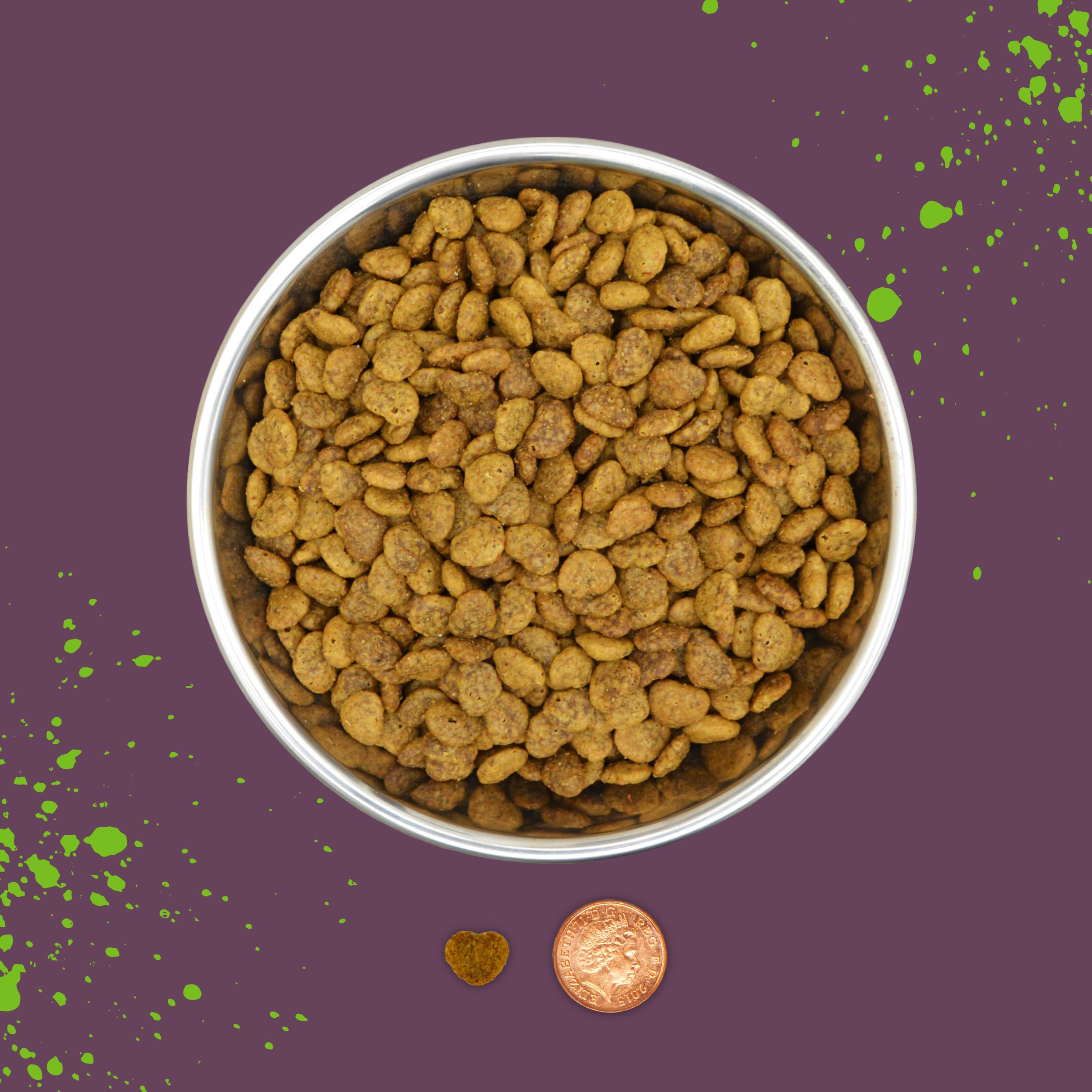 Benevo vegan cat food served in a bowl with crunchy kibble texture for daily meals.