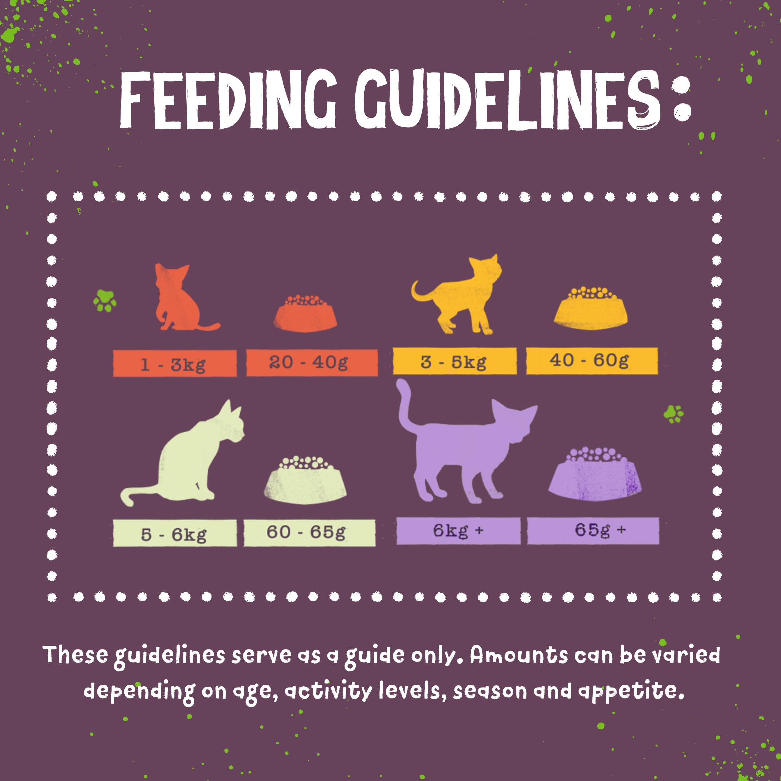 Benevo vegan cat food features spirulina for nutrient-rich plant-based ingredients.