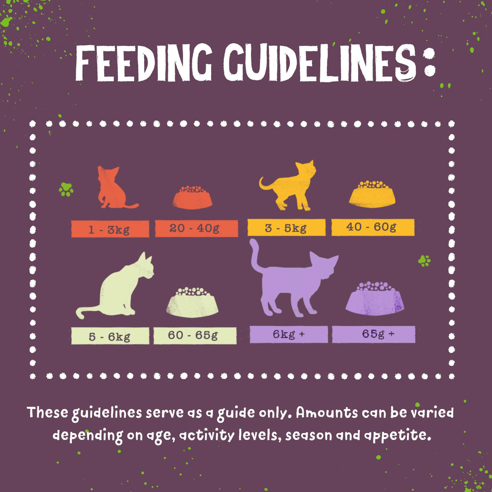Benevo vegan cat food features spirulina for nutrient-rich plant-based ingredients.