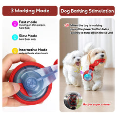 BENTOPAL interactive-mode dog ball with random turns sparks natural instincts and play