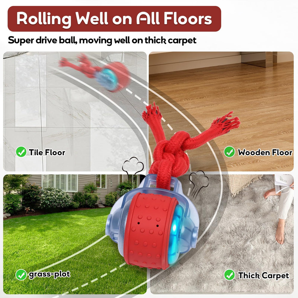 BENTOPAL slow-mode dog ball enables calm fetch and focused play