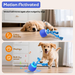 BENTOPAL squeaky mouse motion toy prompts dogs to pounce and track prey.