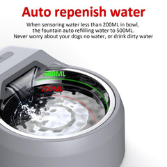BENTOPAL dog water fountain removable stainless bowl for easy cleaning