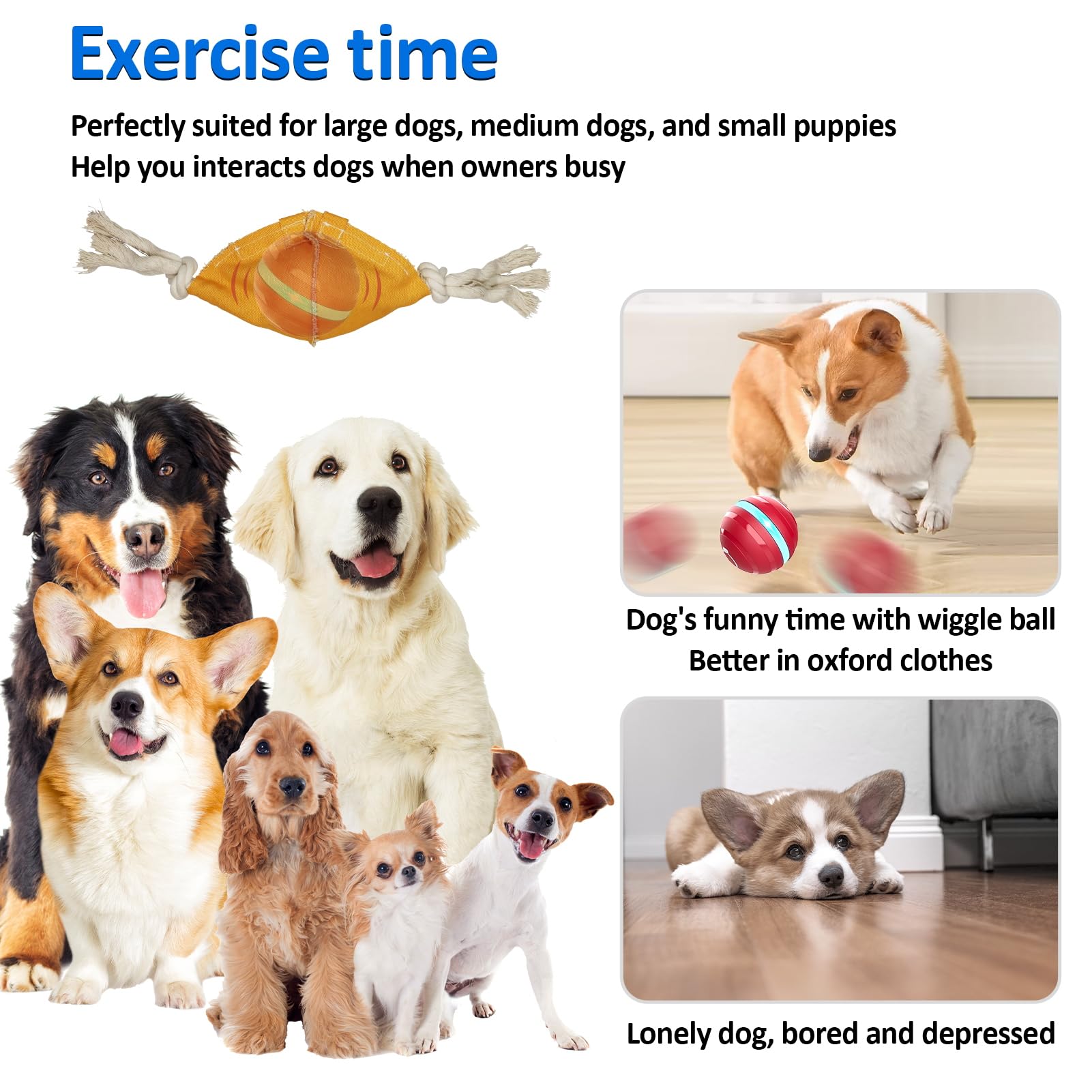 BENTOPAL dog toy for indoor and outdoor play.