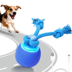 BENTOPAL interactive dog toy ball with rope boosts active play and chasing fun.