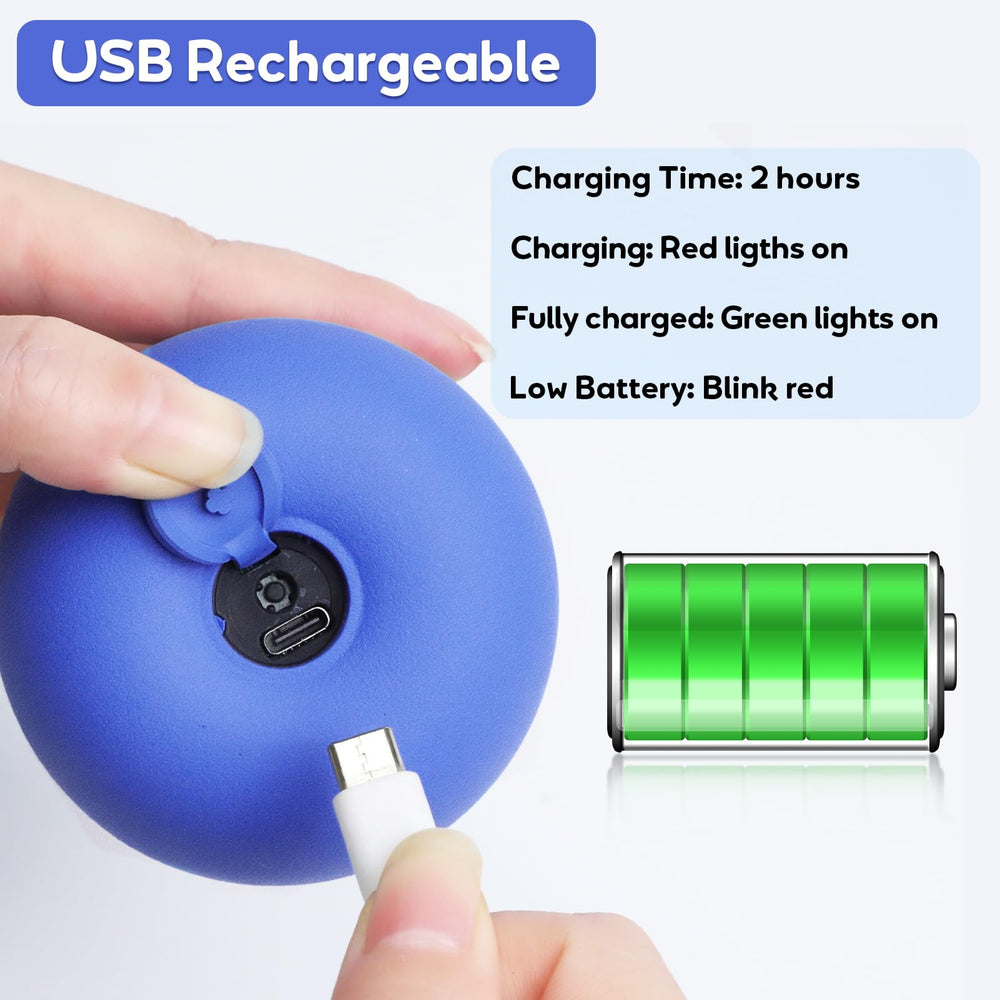 BENTOPAL USB charging dog toy keeps play sessions uninterrupted.