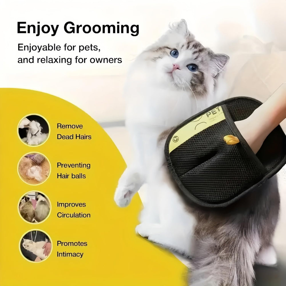 BEOWUI Purepath glove demonstrates skin-friendly hair removal for pets.