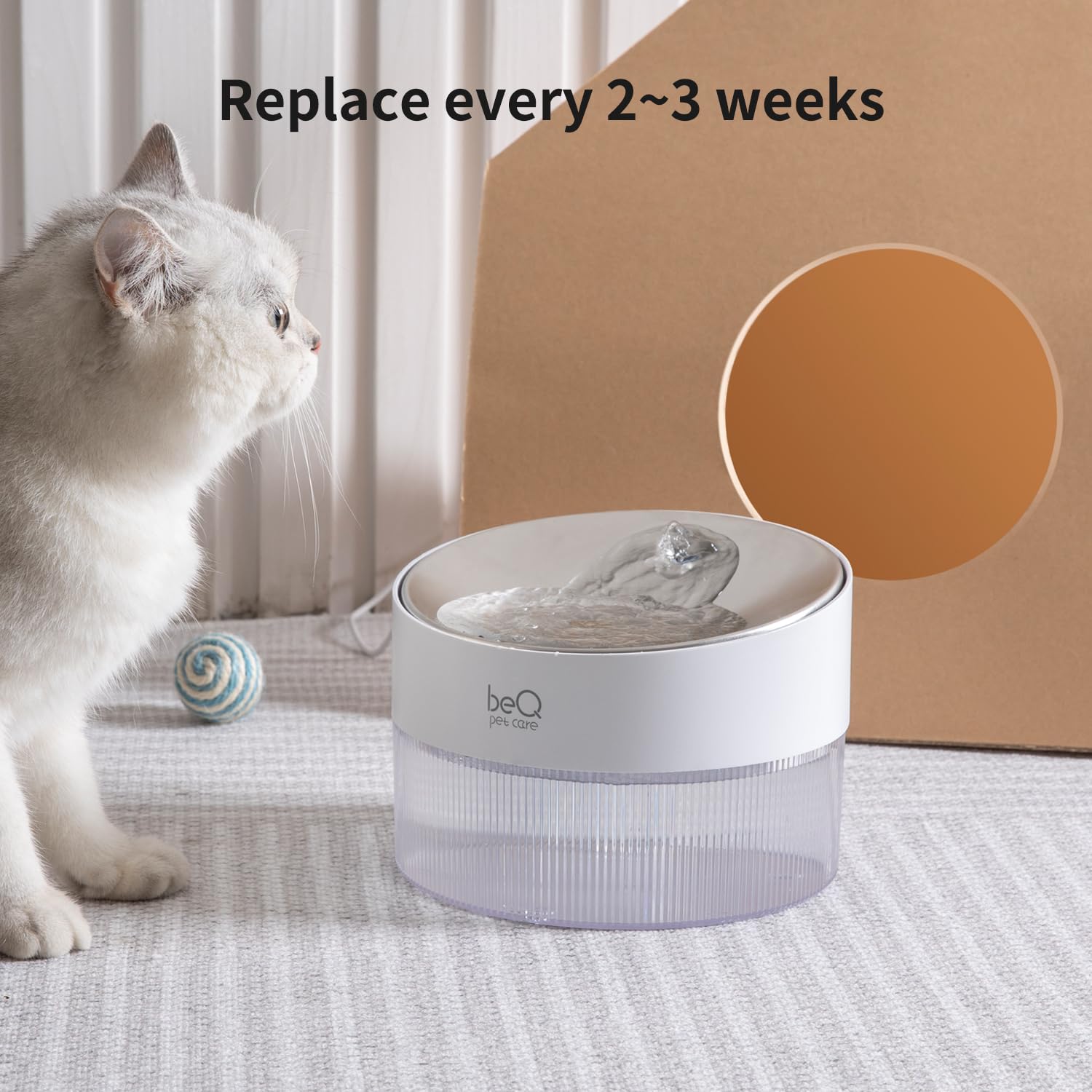 BEQ cat fountain in use with BEQ filters delivering fresh water